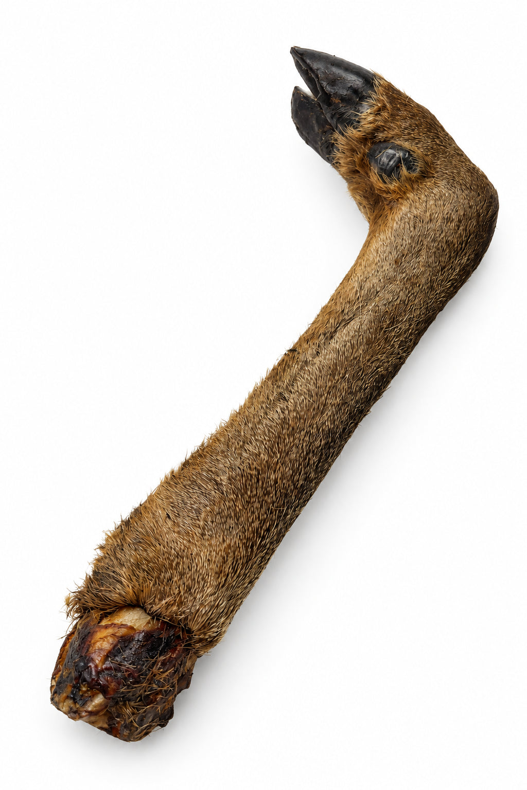 Jumbo Deer Leg 🦌