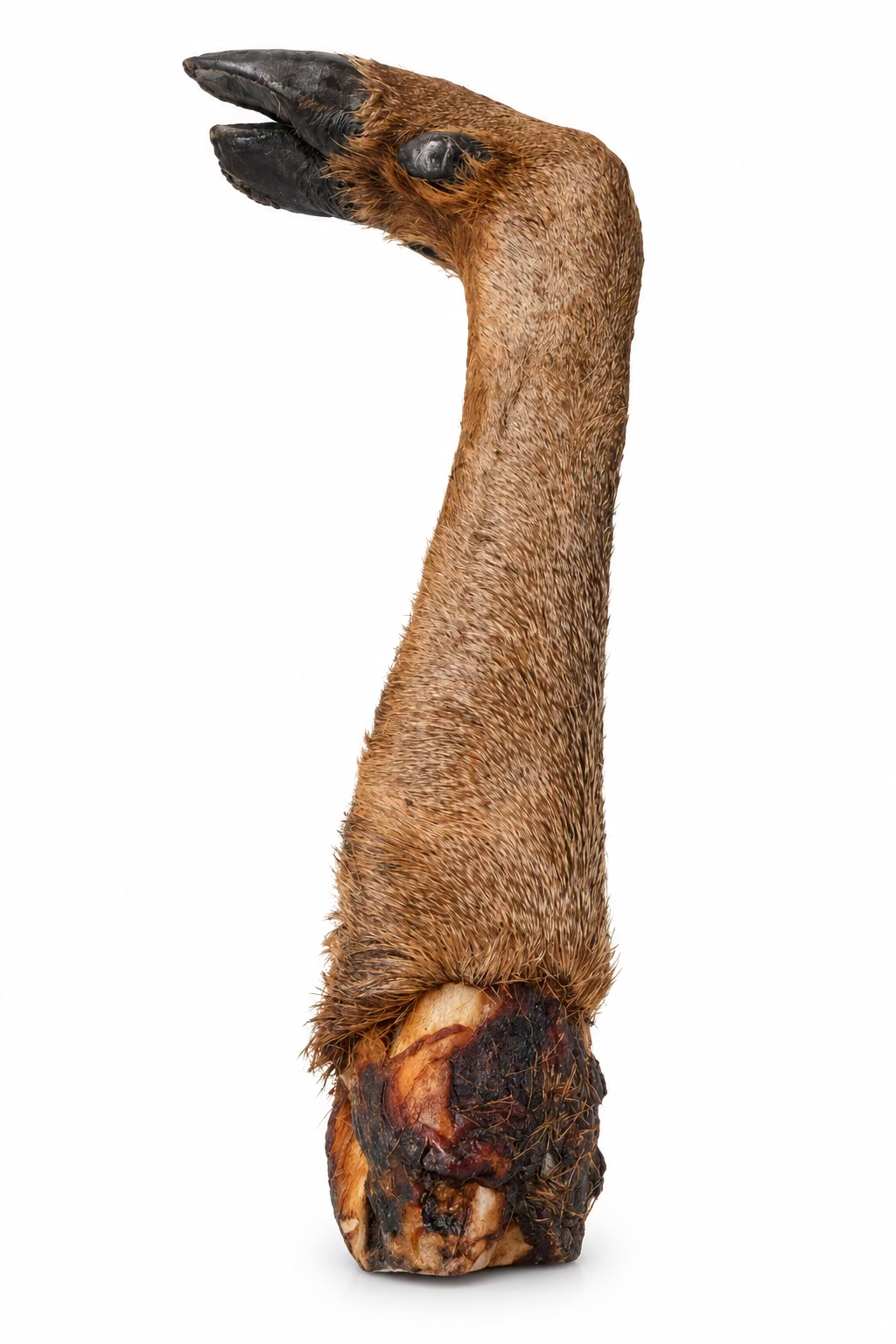 Jumbo Deer Leg 🦌