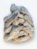 Natural Rabbit Feet with Fur 180g