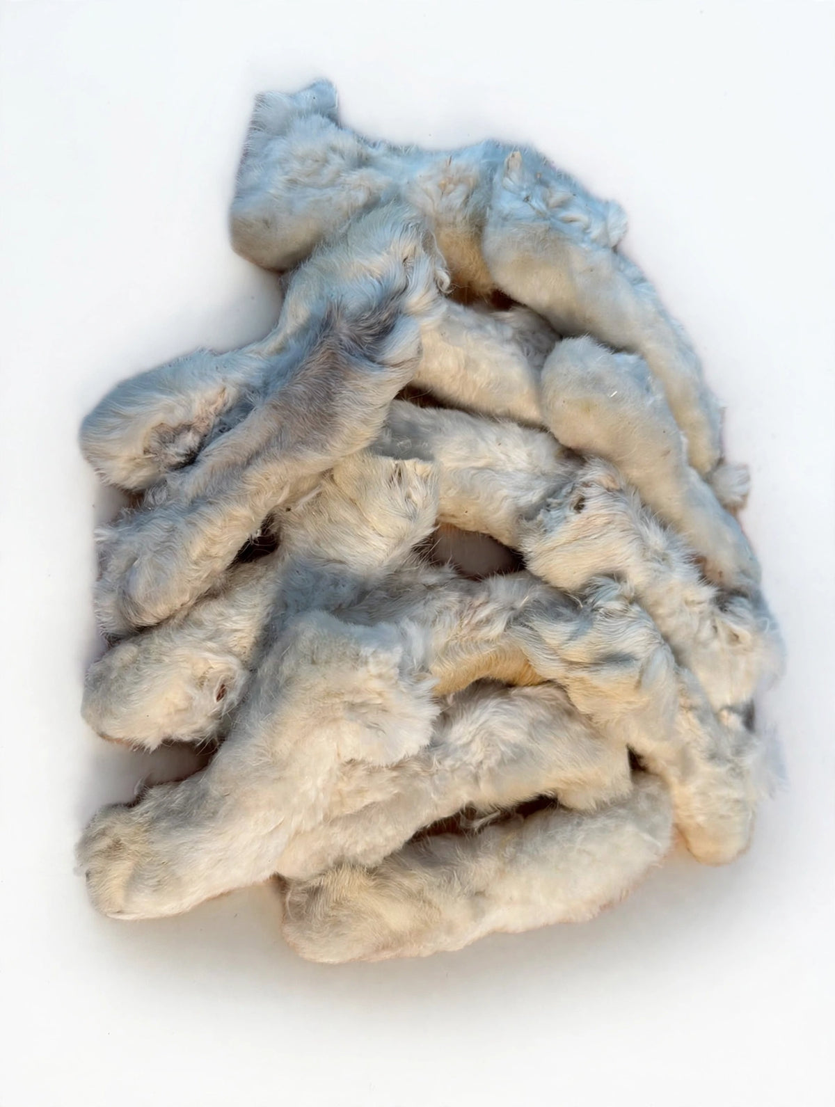 Natural Rabbit Feet with Fur 180g