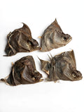 4x Plaice Heads