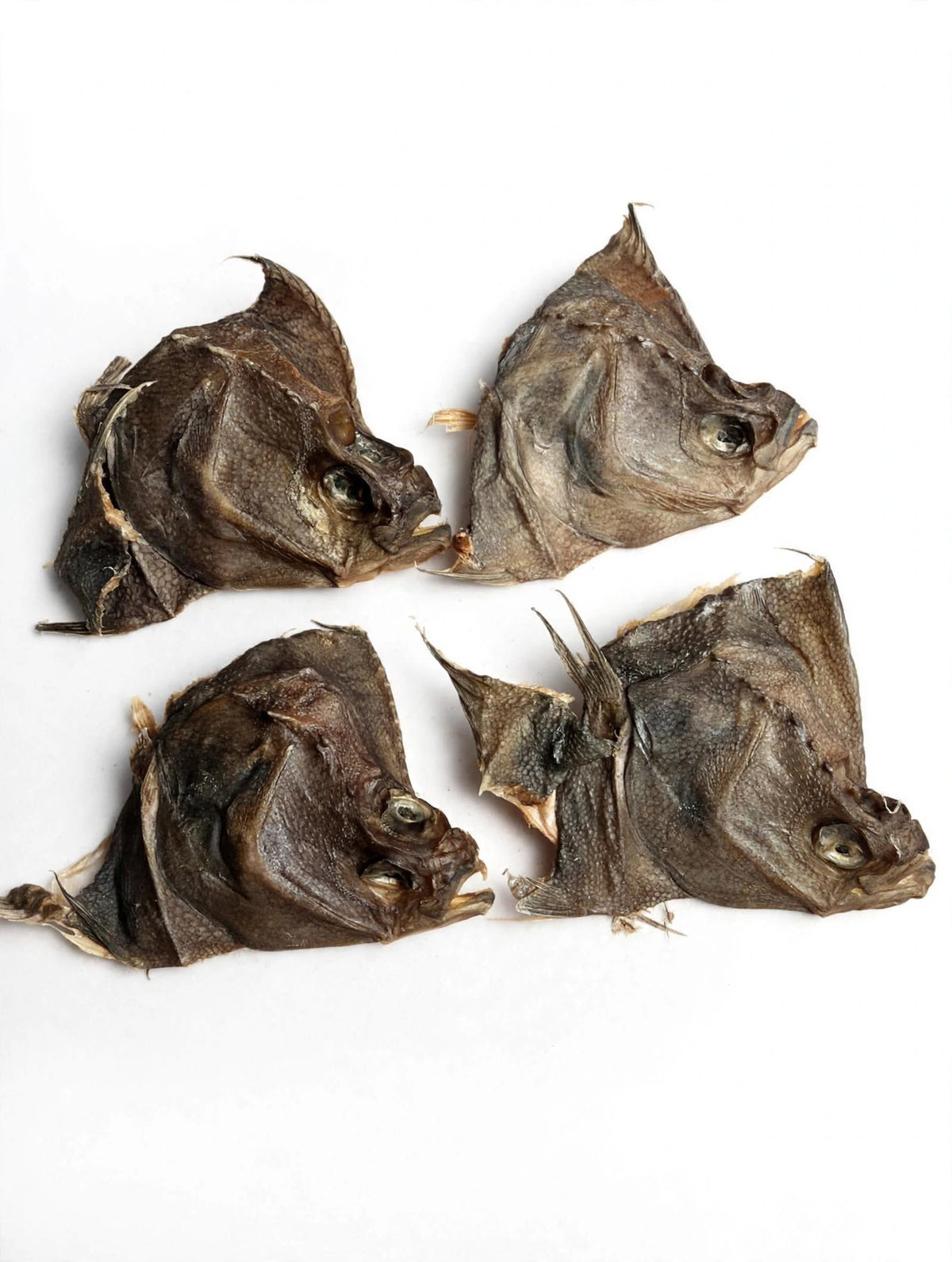 4x Plaice Heads