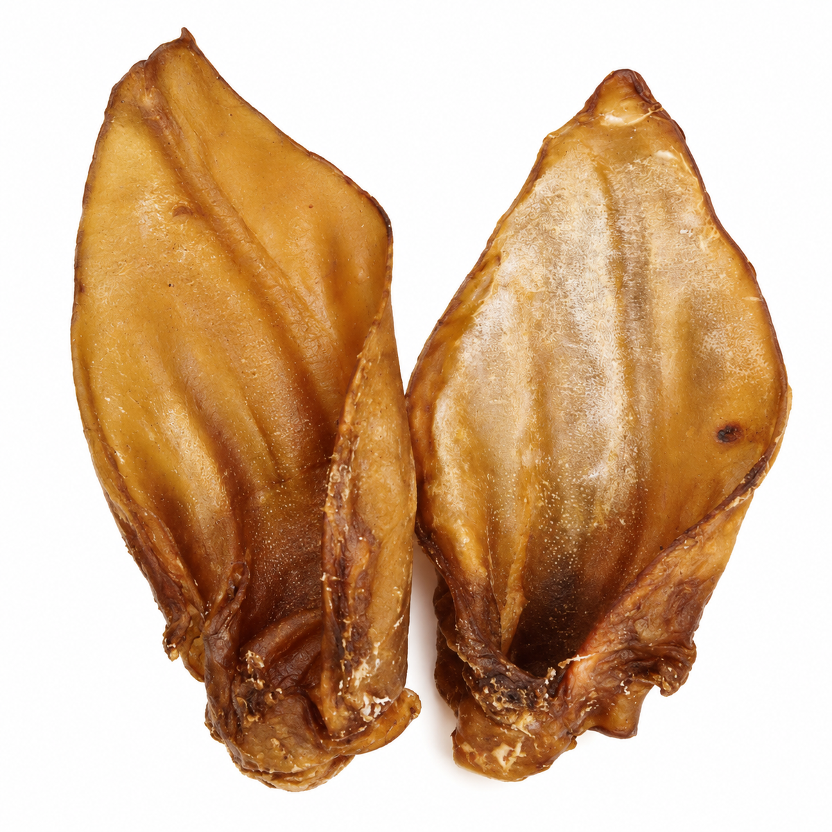 🐃 Buffalo Ears