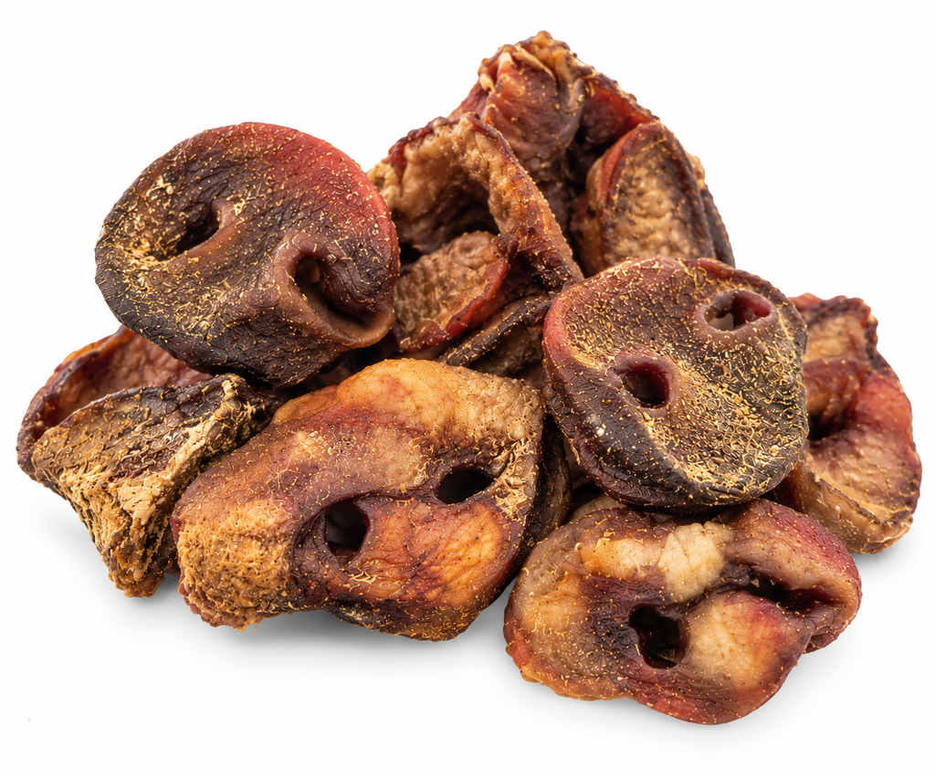 🐷 Natural Pig Snouts – Pack of 8